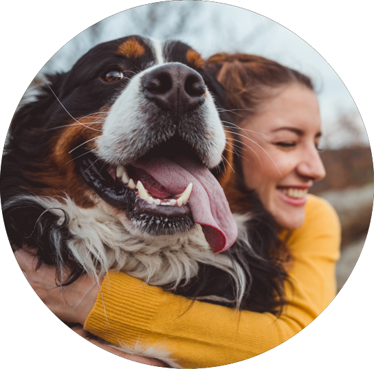 Reviews - Pine Gully Pet Retreat