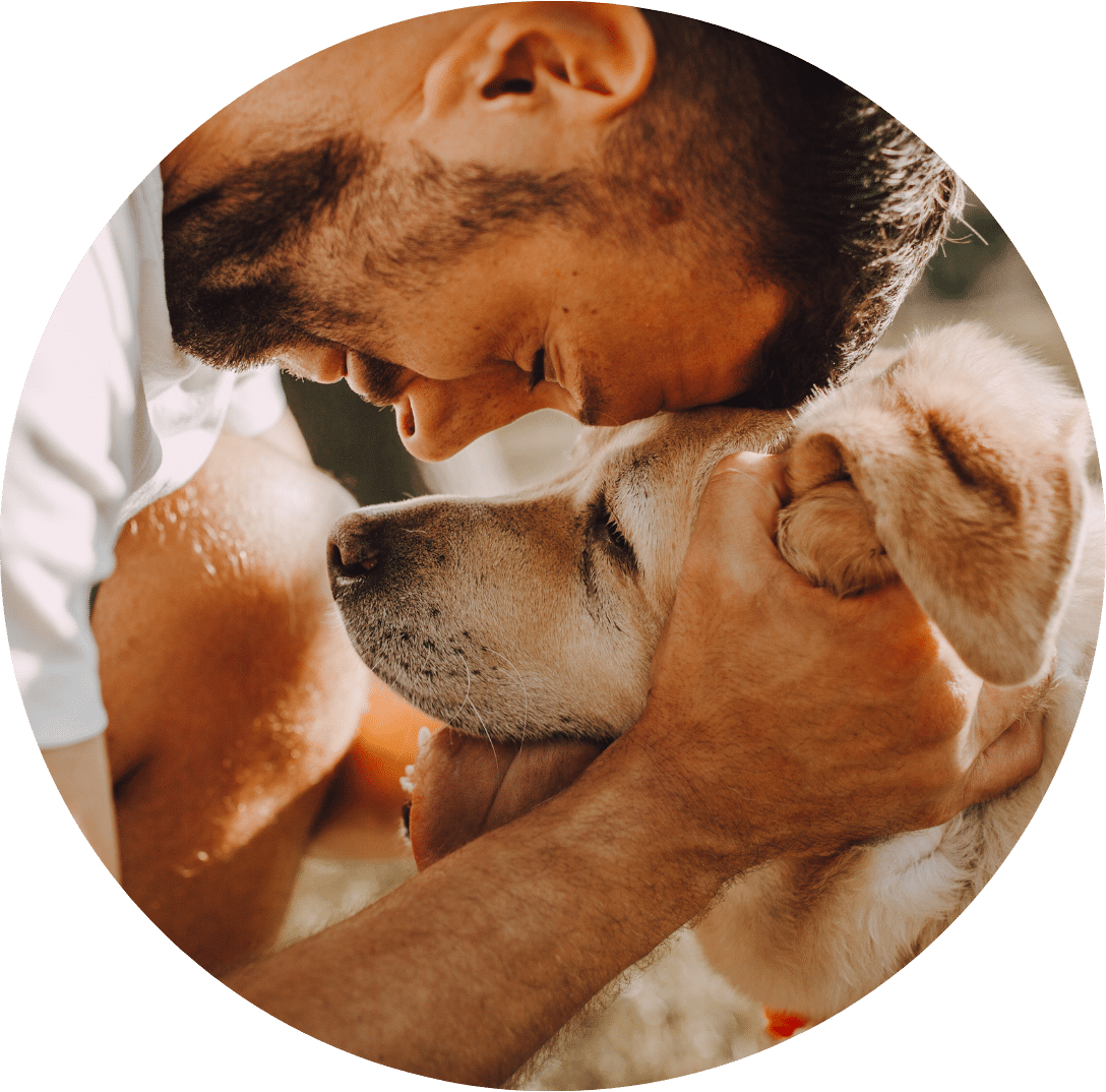 Reviews - Pine Gully Pet Retreat
